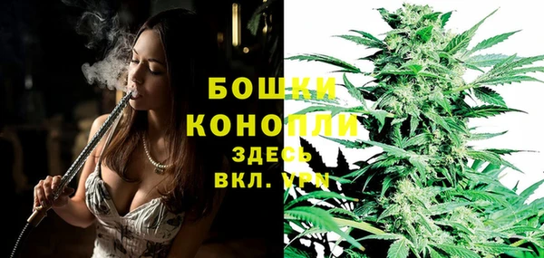индика Нея
