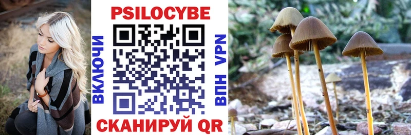 Псилоцибиновые грибы прущие грибы  Купить  Майский 